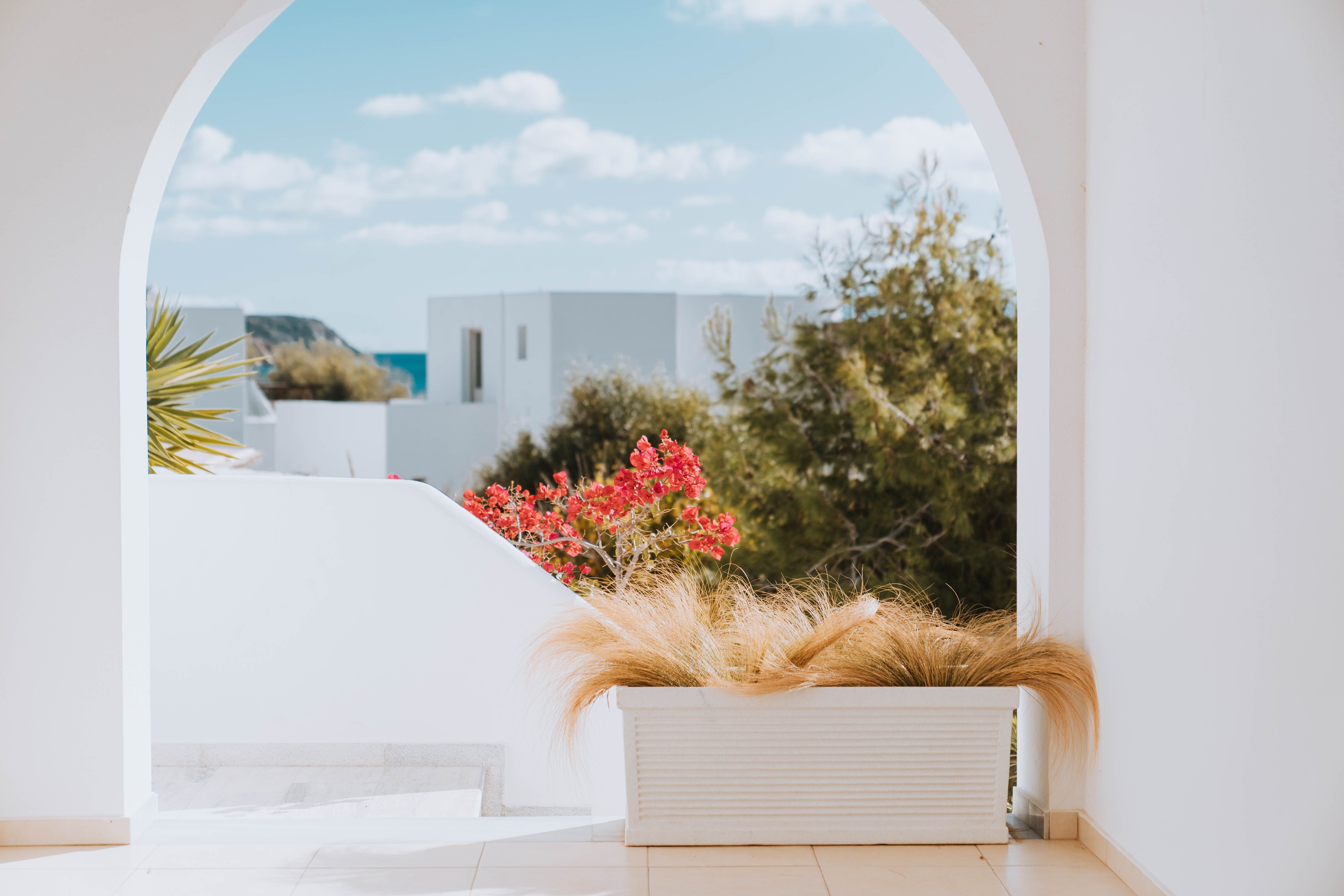 Coralli Apartments for up to 4-6 guests at extremely reasonable prices Only 80m from Livadakia Beach in Serifos Aegean island 